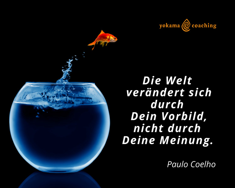 Agiles Mindset kann mich mal …